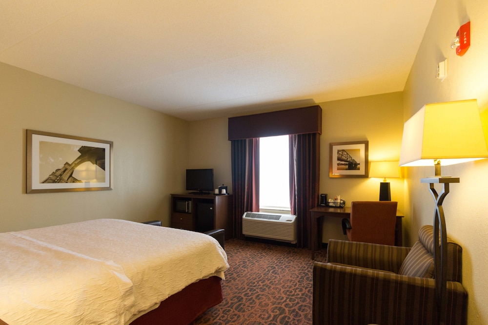 Room, 1 King Bed, Accessible, Bathtub - Photo 4
