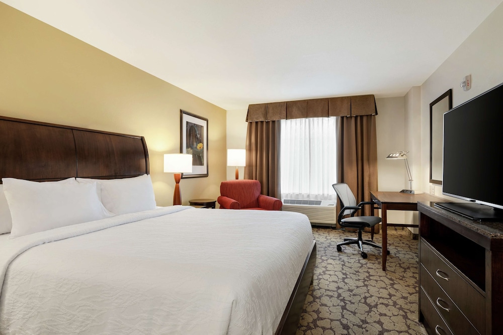 Suite, 1 King Bed, Accessible