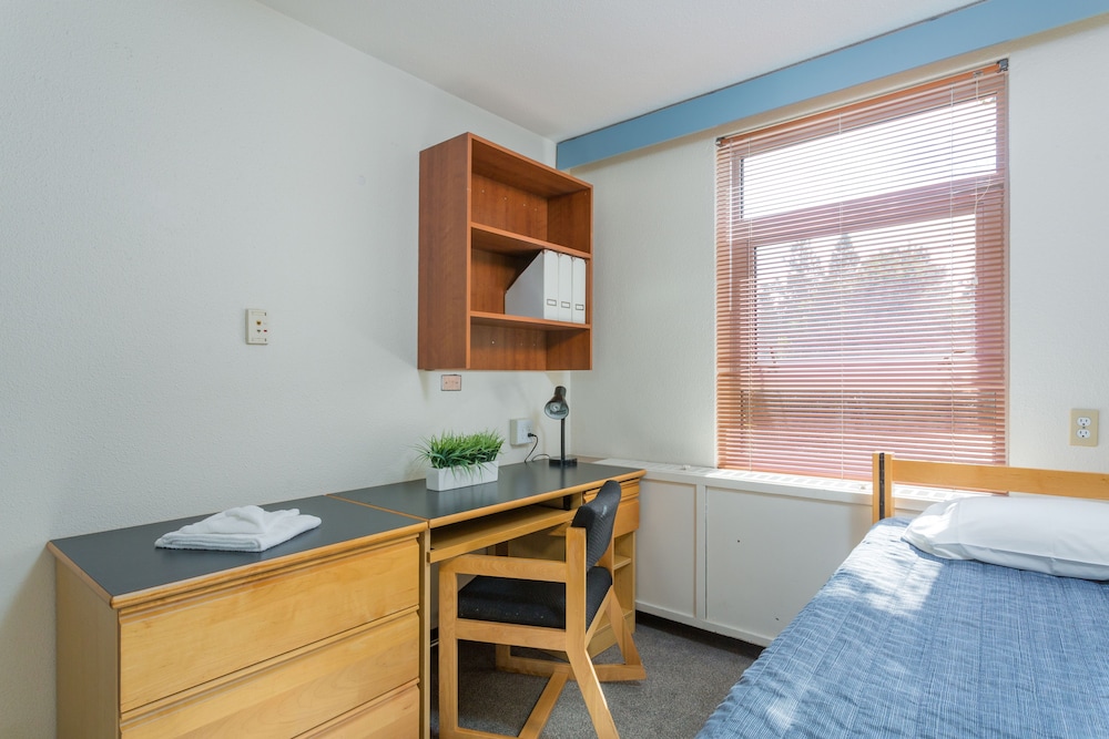 Basic Single Room, 1 Twin Bed photo 2