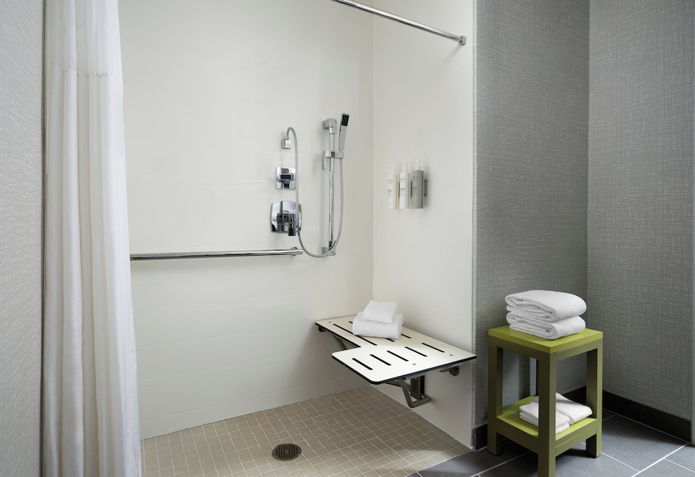 Double Mobility Accessible Roll In Shower Non-Smoking