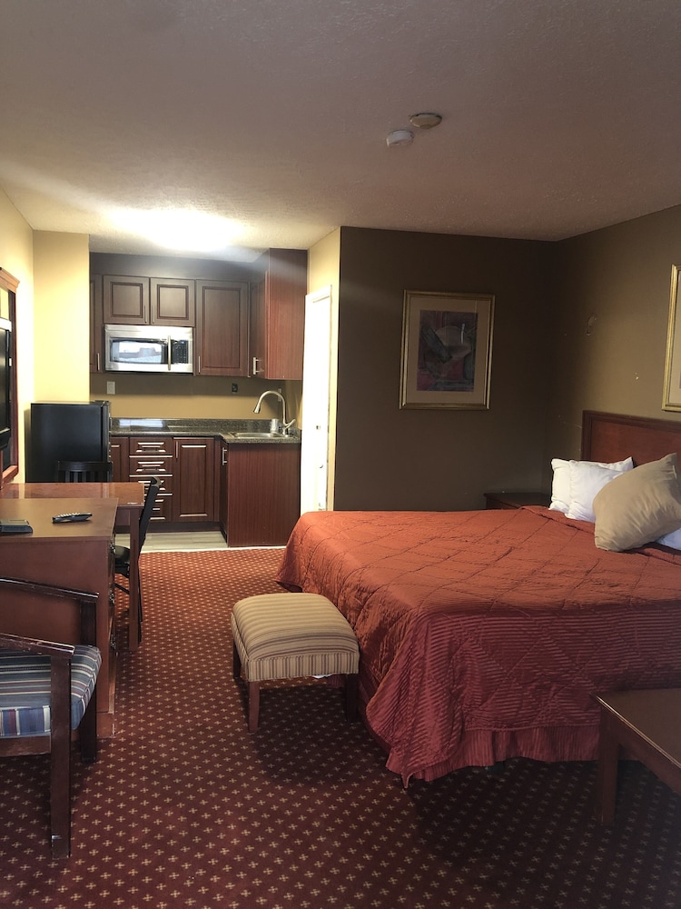 Classic Studio, 1 Bedroom photo 2