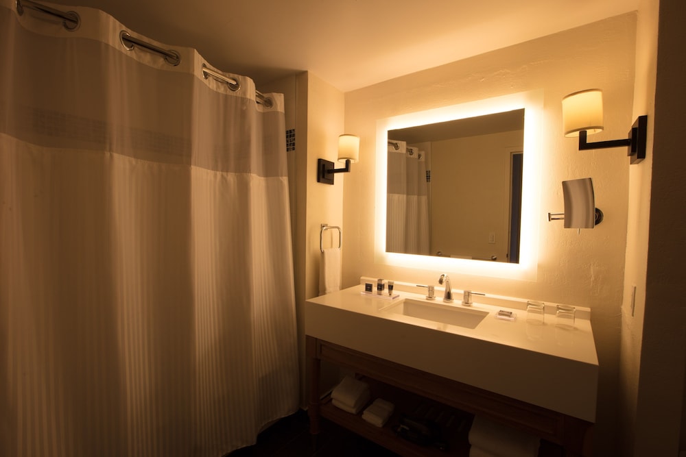 Room, 1 King Bed, Accessible (rainforest Collection)