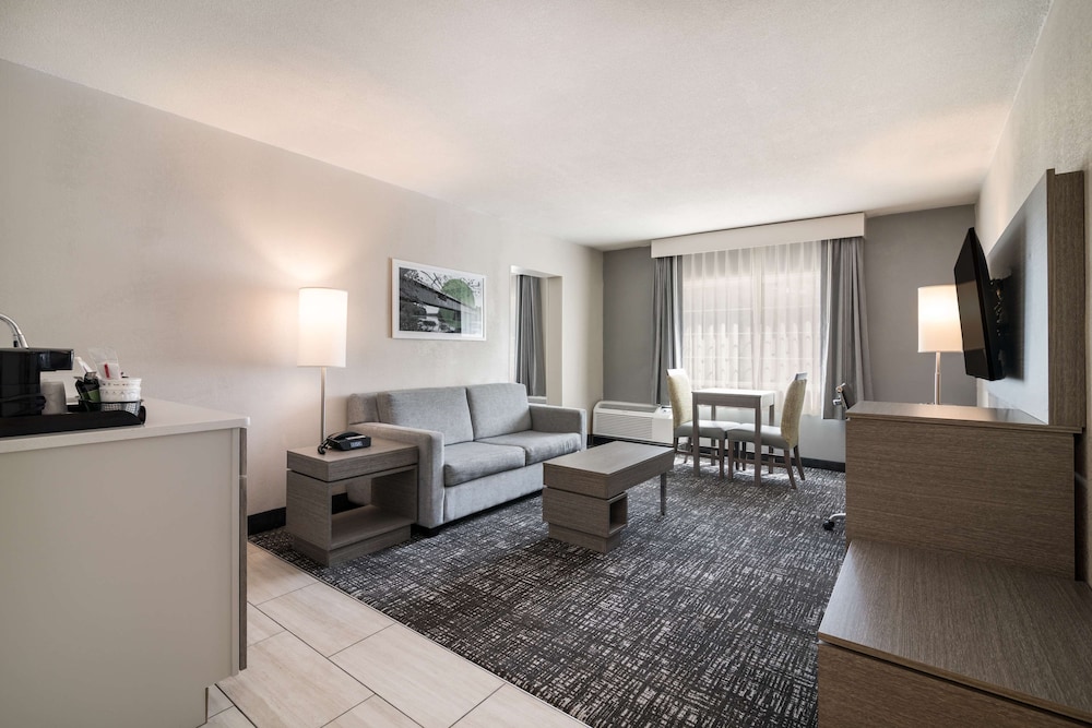 Suite, 1 King Bed, Non Smoking (with Single Sofabed) - Photo 2