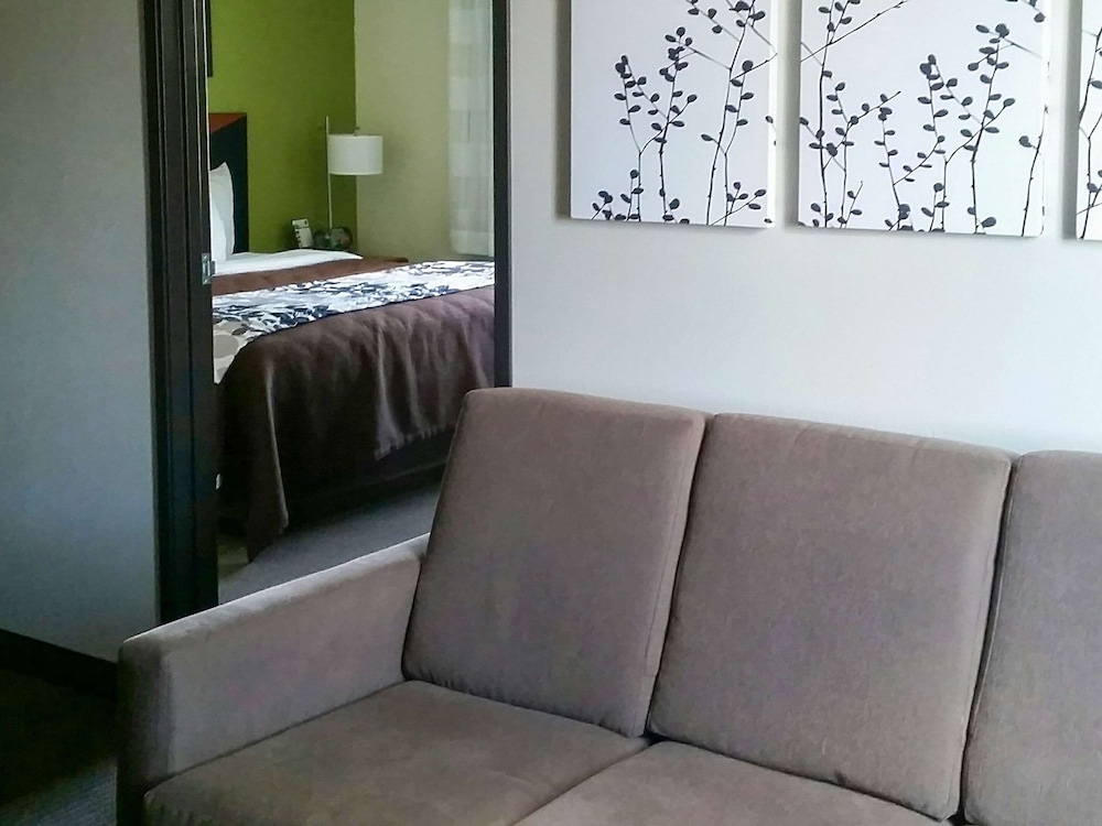 Suite, 1 King Bed with Sofa bed, Non Smoking - Photo 8