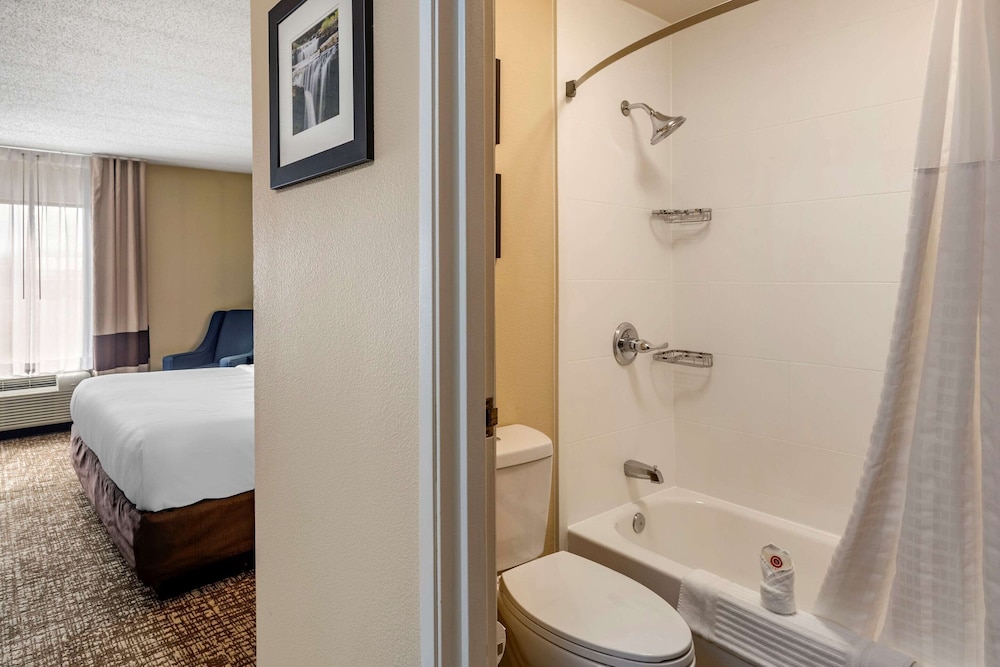 Business Suite, 1 King Bed - Photo 4
