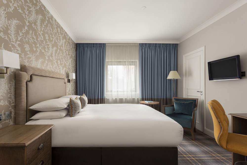 Executive Double Room - Photo 1