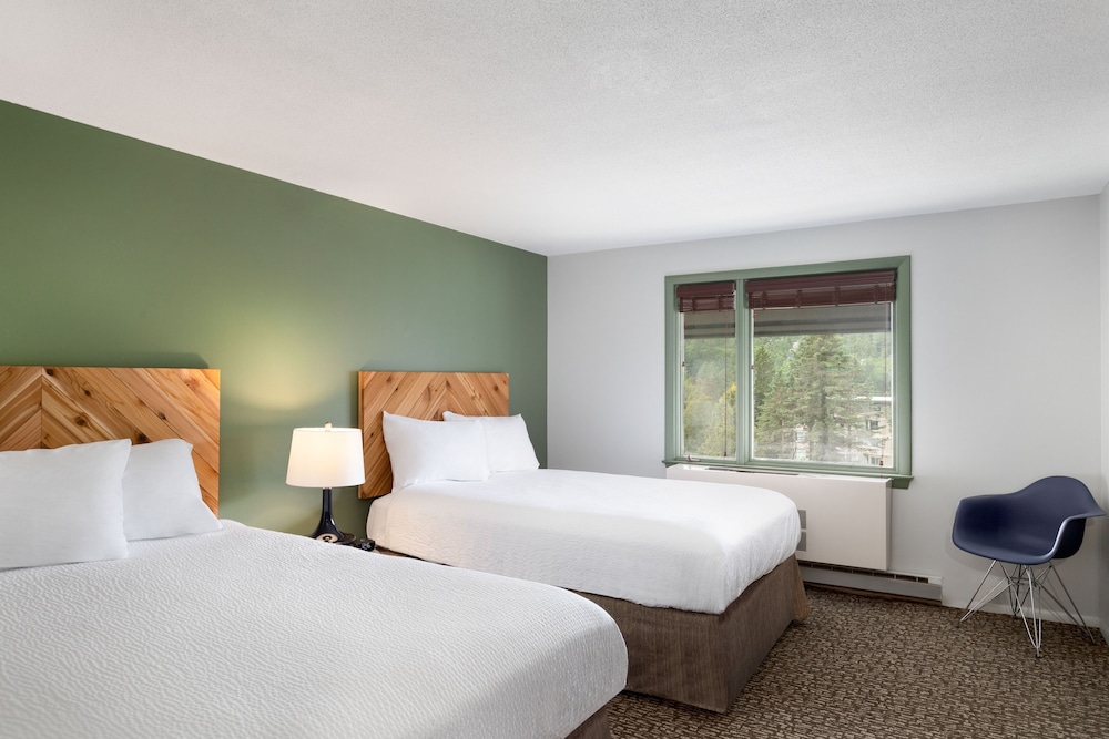 Superior Double Room photo 1