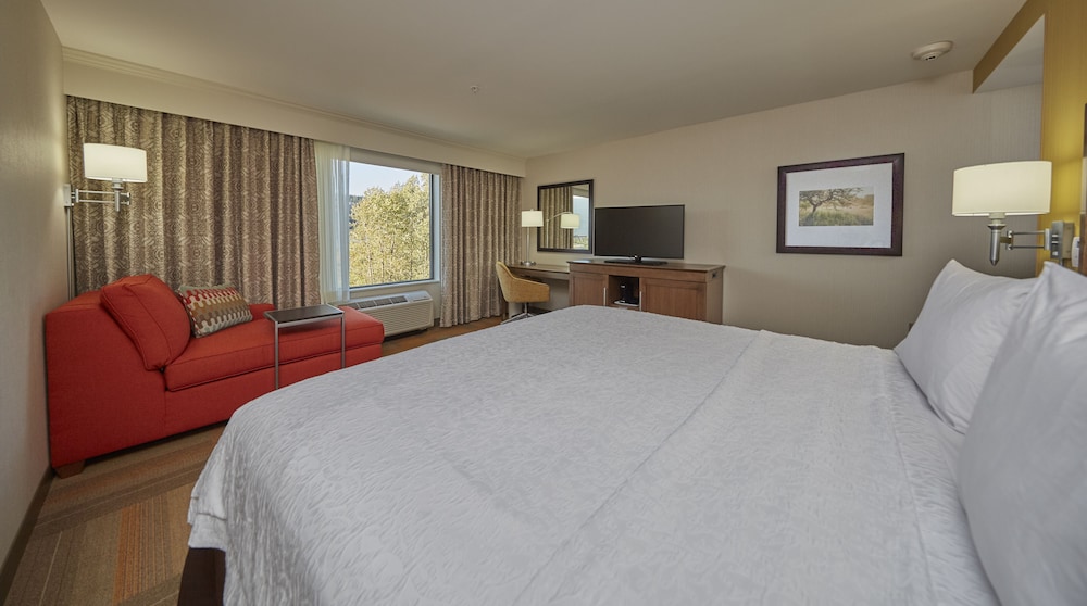 Room, 1 King Bed, Non Smoking, Refrigerator photo 2
