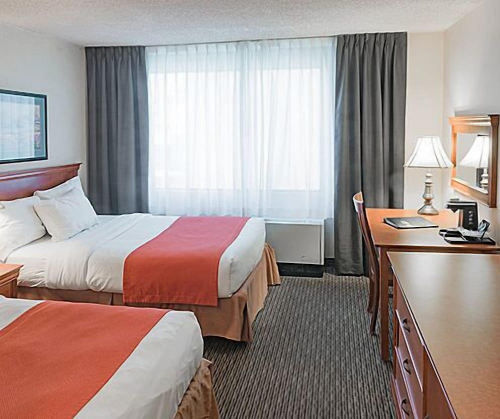 Standard Room, 2 Double Beds photo 1