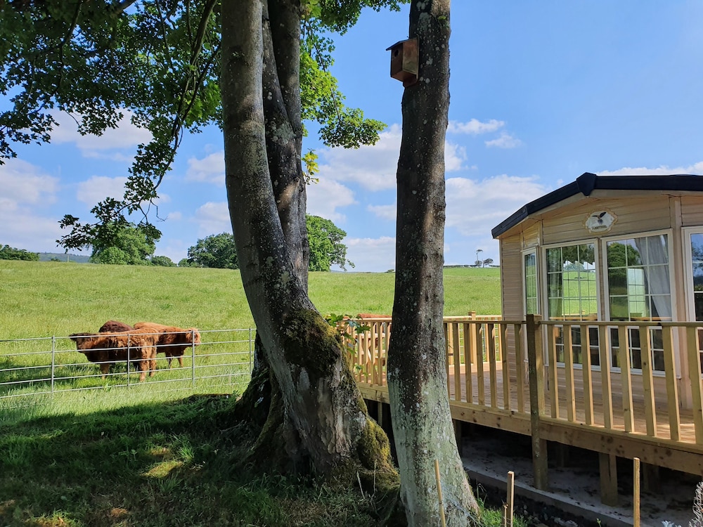 小屋