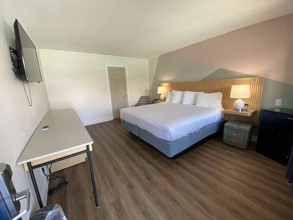 Standard Room, 1 King Bed photo 1