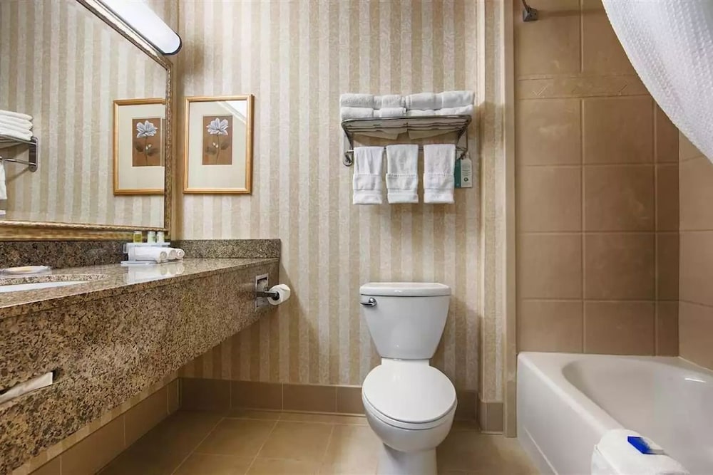 Studio Suite, 1 Bedroom, Non Smoking photo 2
