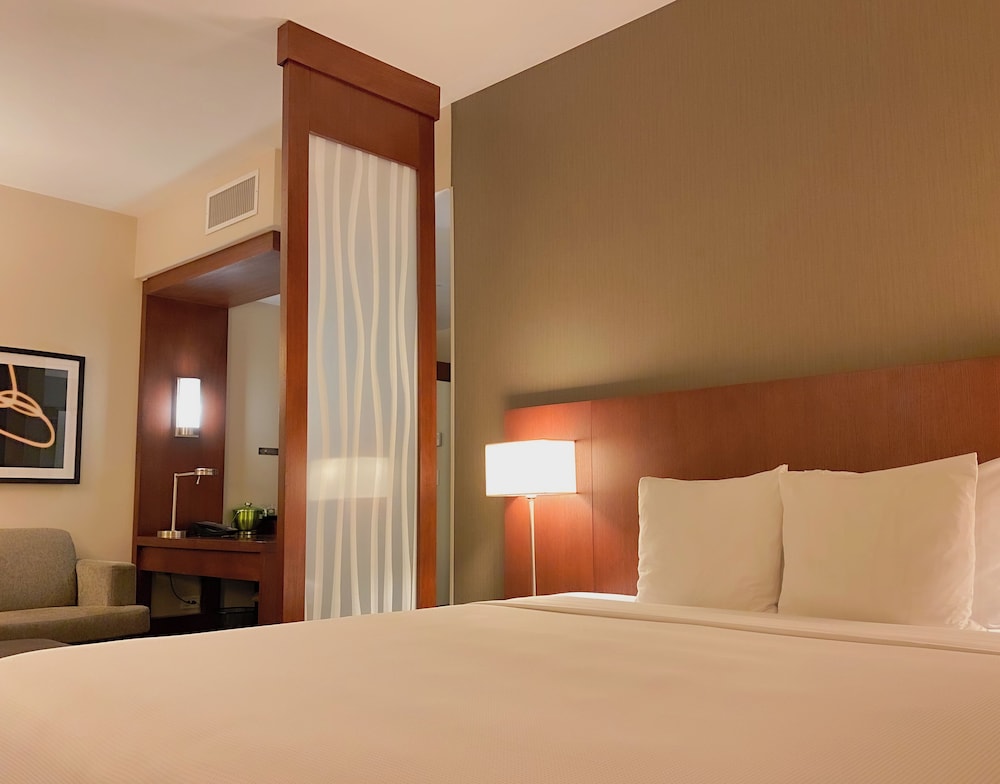 Premium Room, 1 King Bed