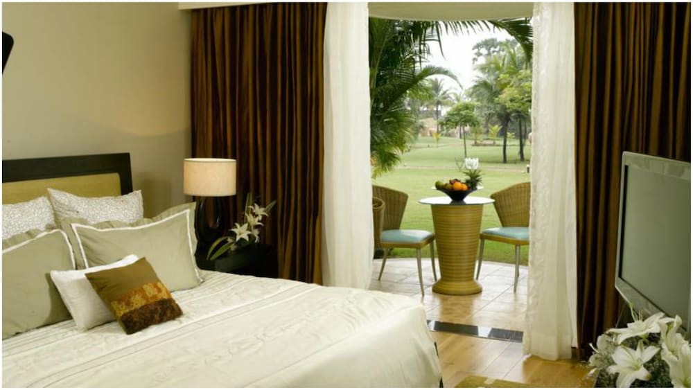 Premium Room - Photo 3