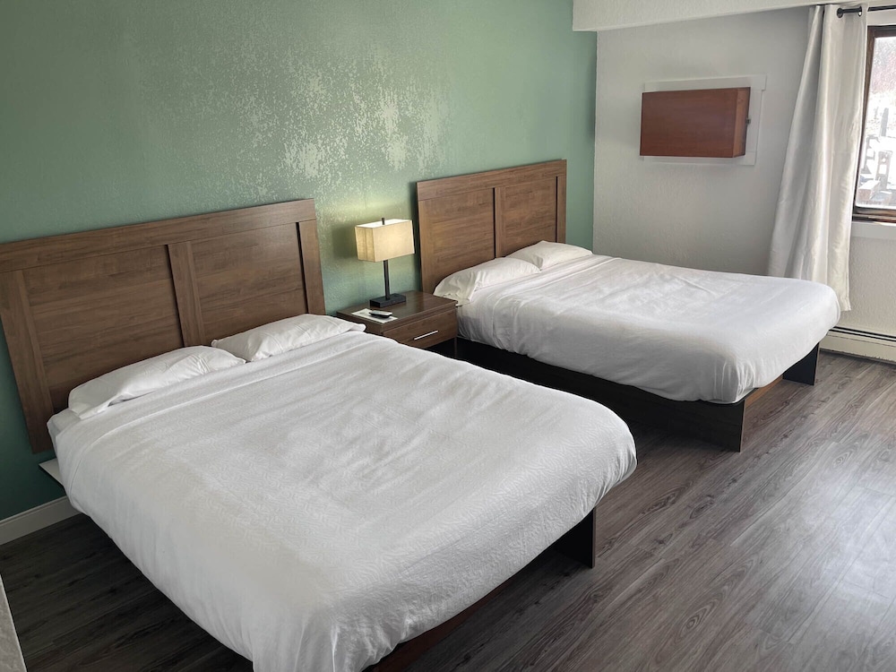 Standard Double Room, 2 Queen Beds photo 1