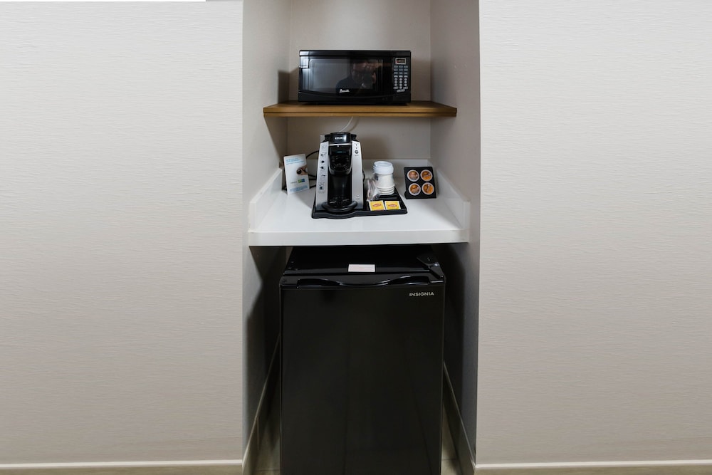 Suite, 1 Bedroom - Photo 8