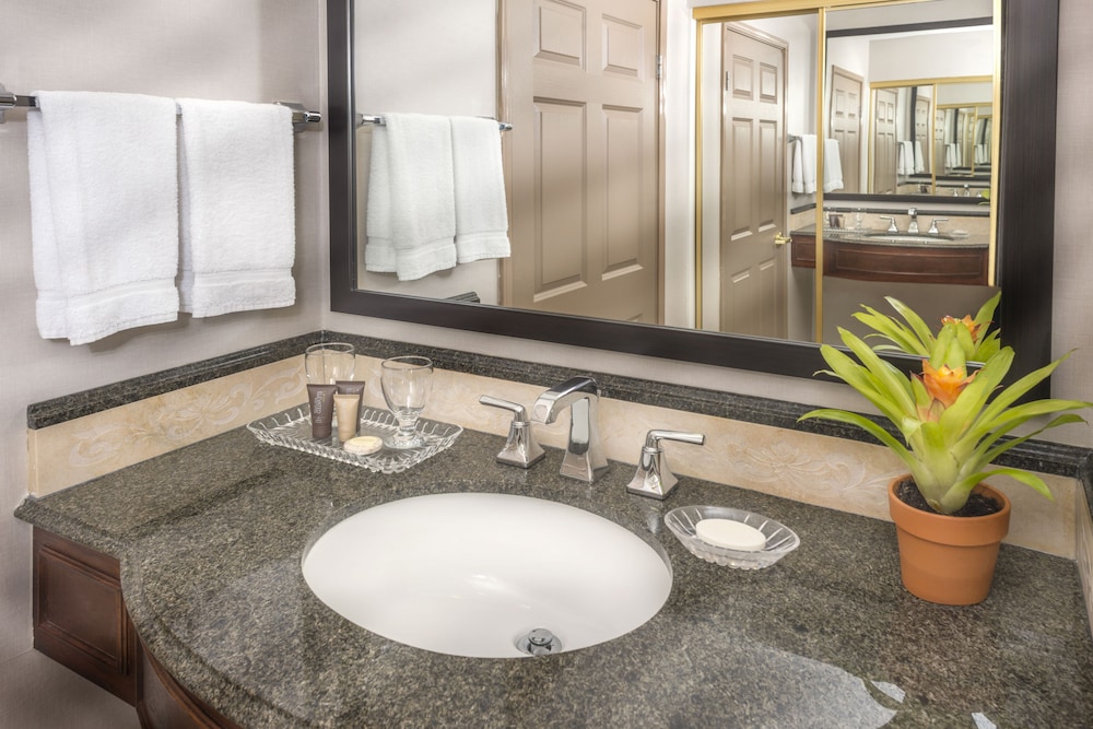 Deluxe Two Queen Studio Suite - Photo 3