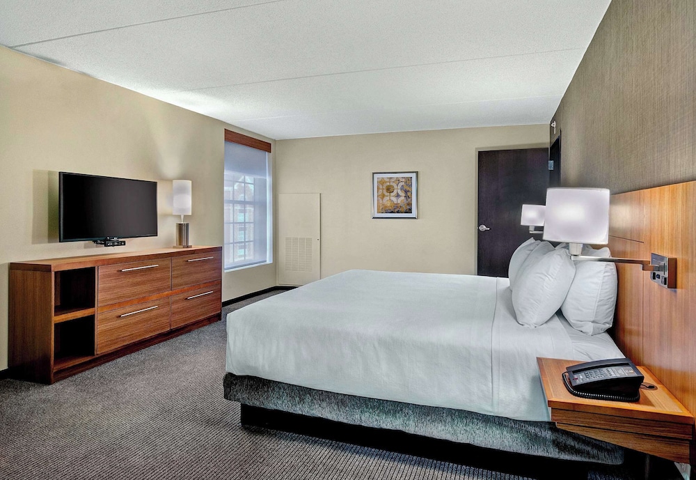 Suite, 1 King Bed with Sofa bed (One Bedroom)