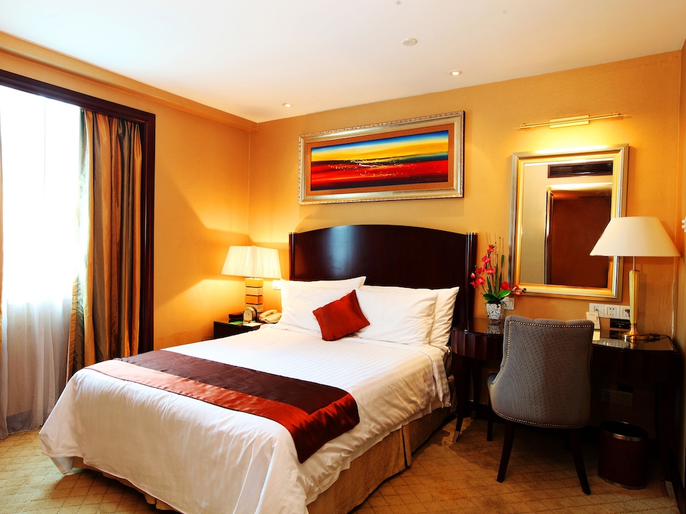 Comfort Single Room photo 2