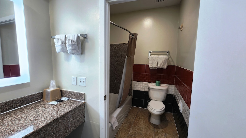 Deluxe Room, 1 King Bed, Non Smoking, Refrigerator & Microwave - Photo 9