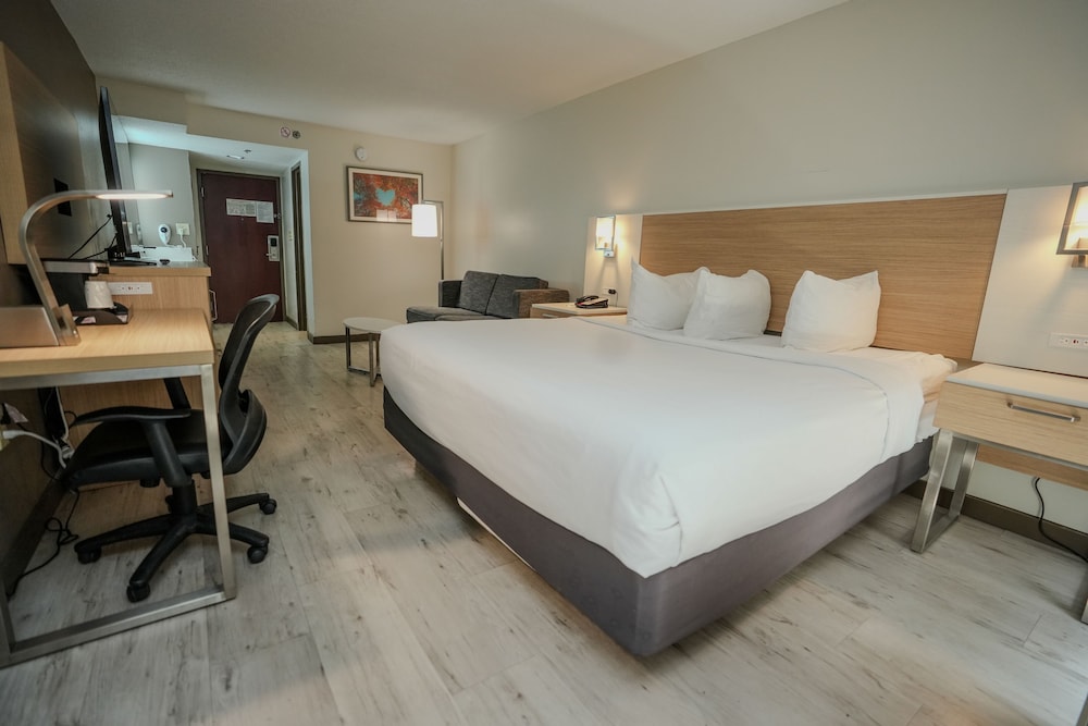Deluxe Room, 1 King Bed with Sofa bed - Photo 3