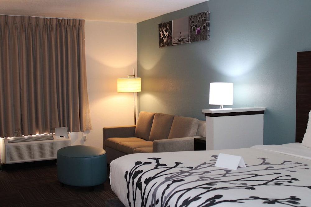 Room, 1 King Bed, Accessible, Non Smoking (Mobility, Roll-in Shower) - Photo 18