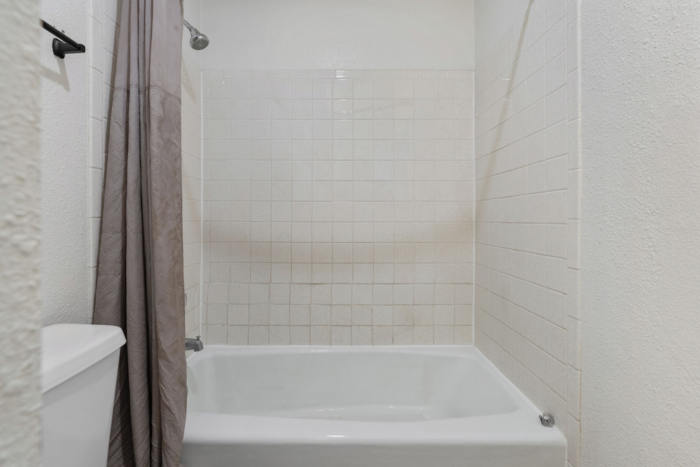 Basic Studio, 2 Queen Beds, Non Smoking, Pets Allowed photo 2