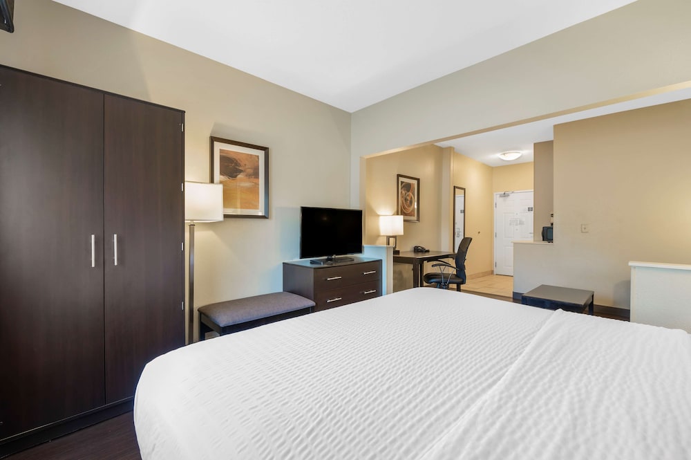 Suite, 1 King Bed, Non Smoking, Refrigerator & Microwave (with Sofabed) - Photo 2