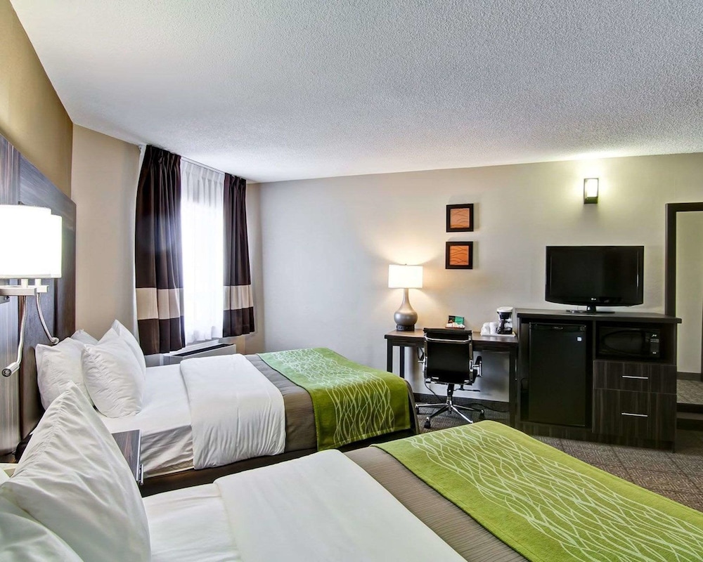 Room, 2 Queen Beds, Non Smoking (Pets Allowed) photo 3