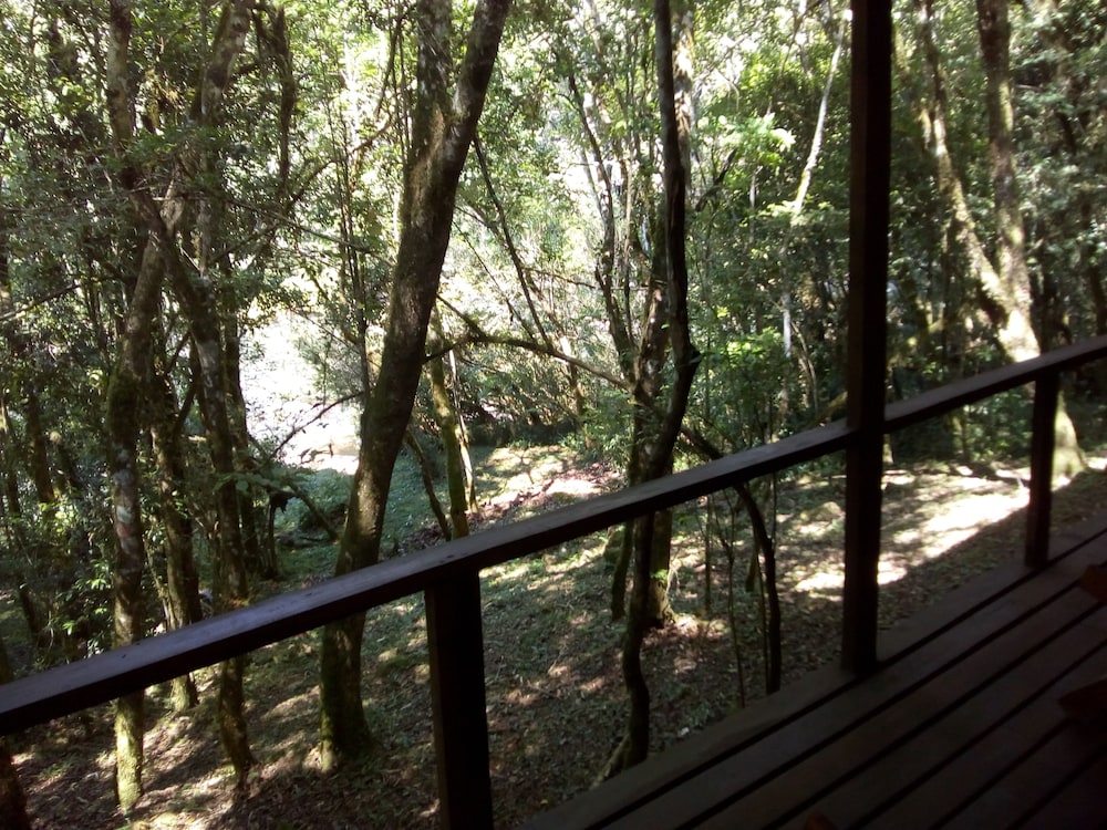 Cabin, Balcony, River View (1 Queen And 2 Single Beds ) photo 2