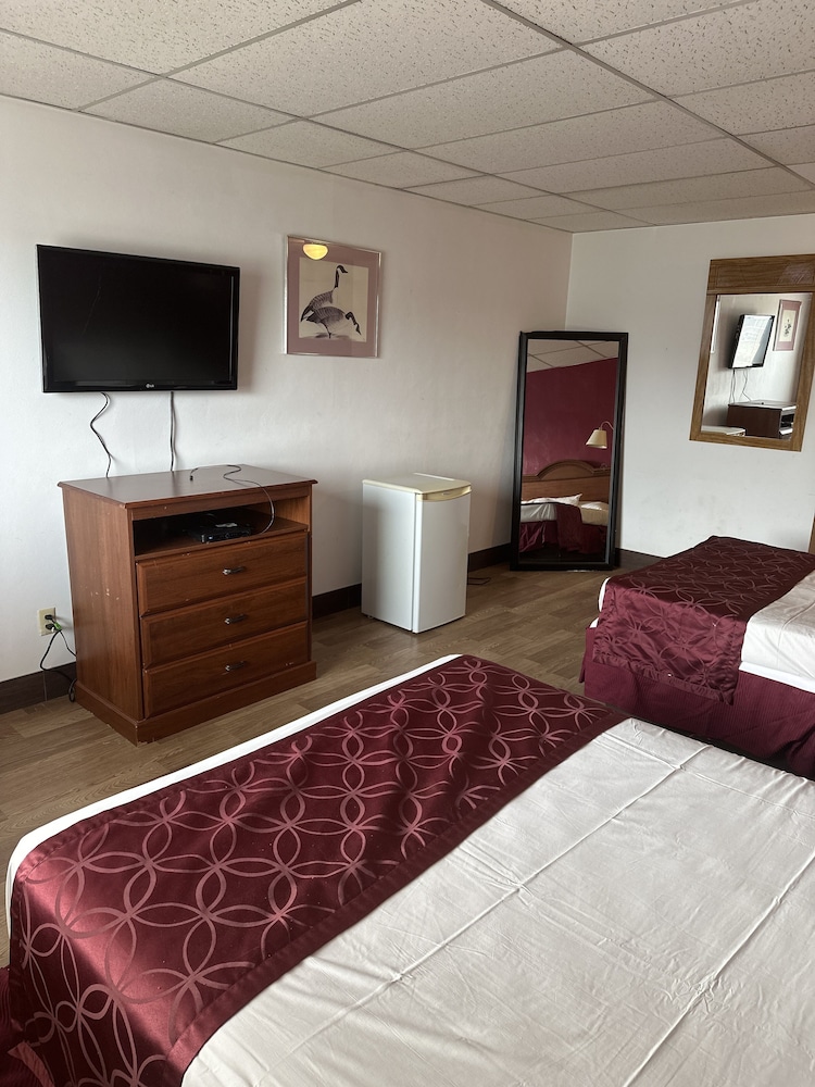 Comfort Double Room Single Use photo 1