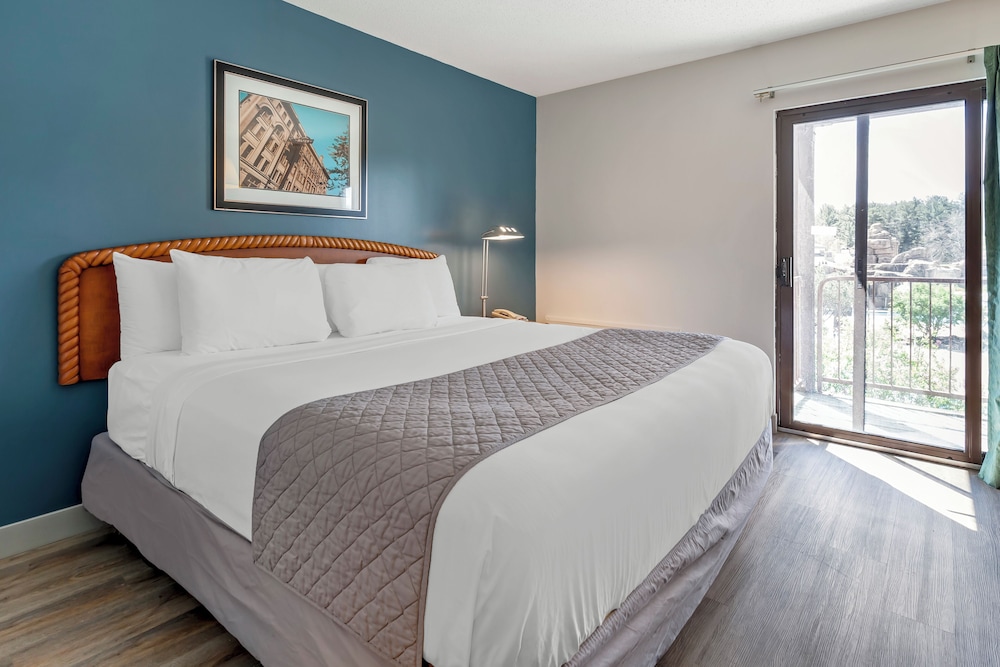Standard Room, 1 King Bed with Sofa bed photo 1