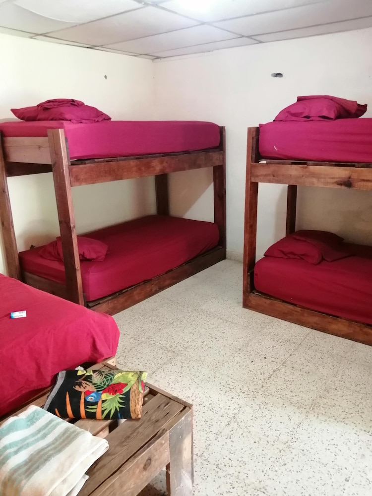 Economy Shared Dormitory, Patio photo 1