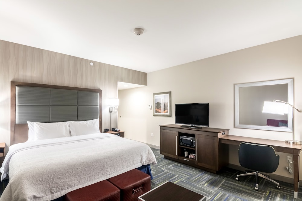 Room, 1 King Bed, Accessible, Bathtub (Mobility & Hearing) photo 3