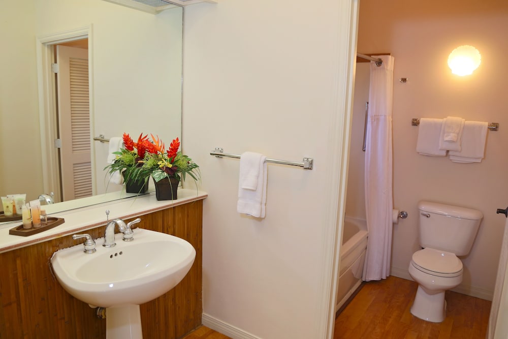 Suite, 1 Bedroom - Photo 18