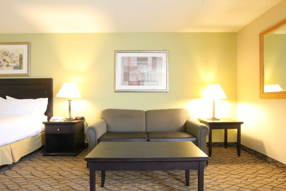 Suite, 1 King Bed (Extra Floor Space) photo 2