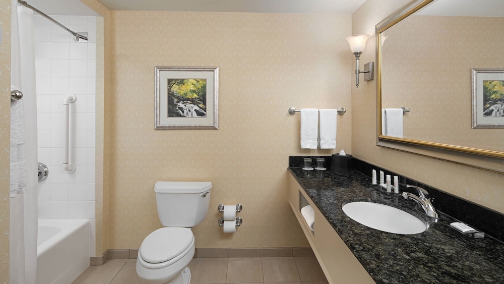 Room, 1 King Bed (Mobility/Hearing Accessible, Tub)
