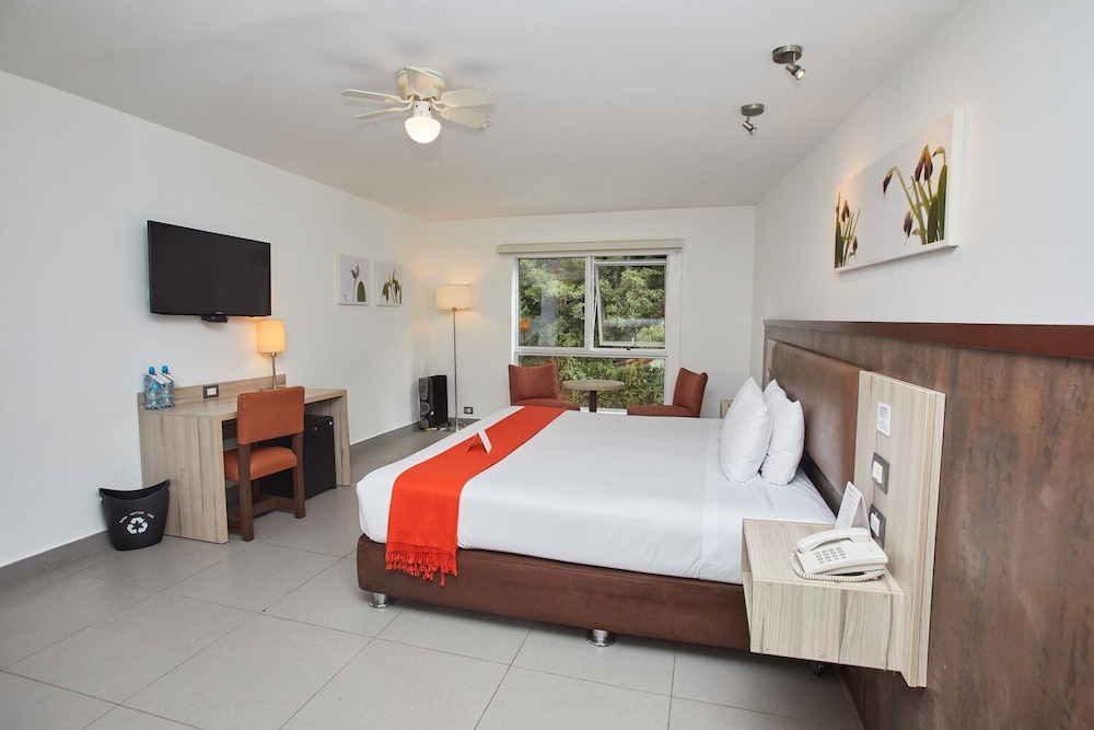Junior Room, 1 King Bed photo 2