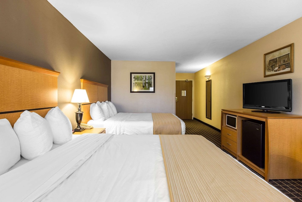 Suite, Multiple Beds, Non Smoking - Photo 4