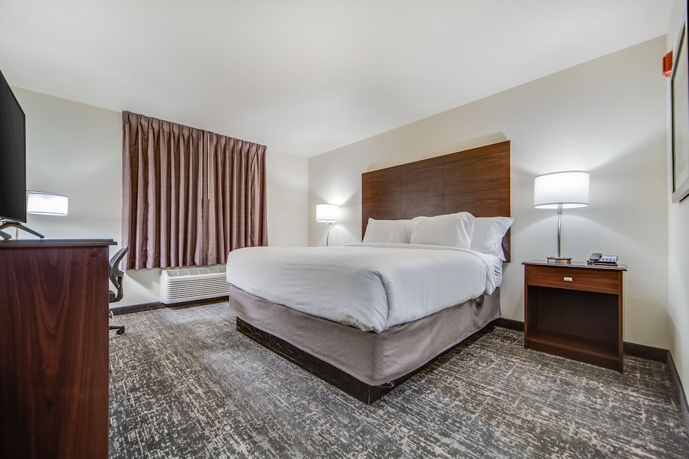 Room, 1 King Bed, Non Smoking (Audible/Visual) - Photo 1