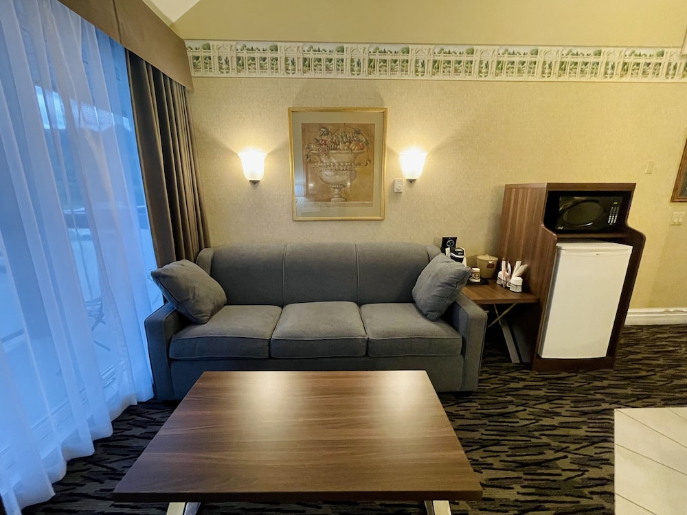 Suite (Jacuzzi) No Pets - Photo 13