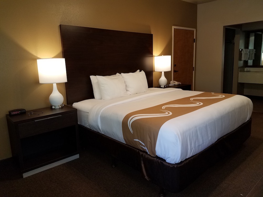 Standard Room, 1 King Bed, Non Smoking, Microwave - Photo 4