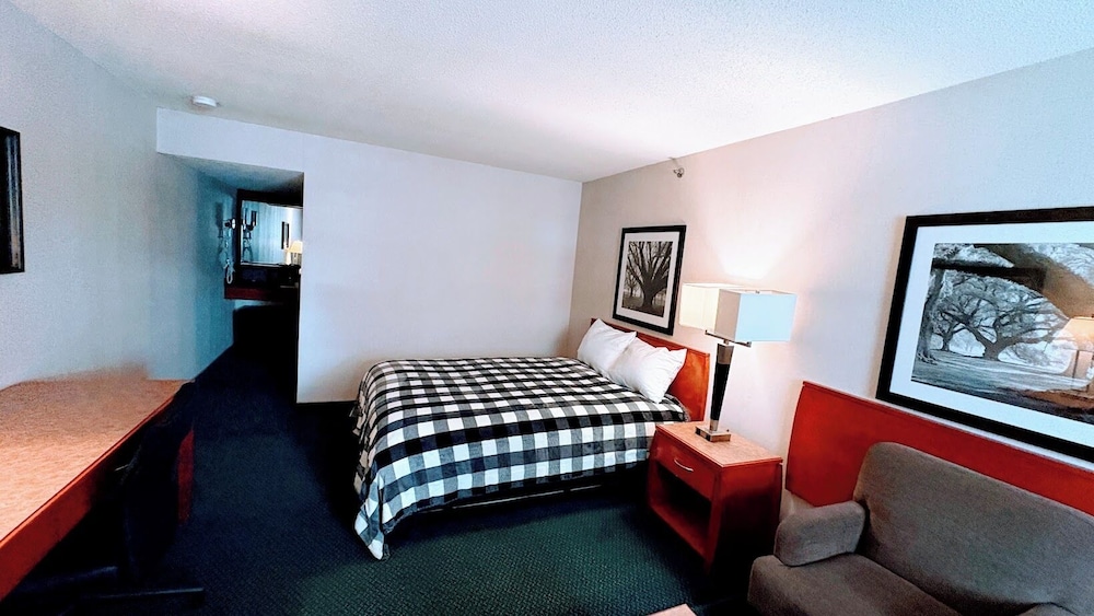 Standard Single Room photo 3