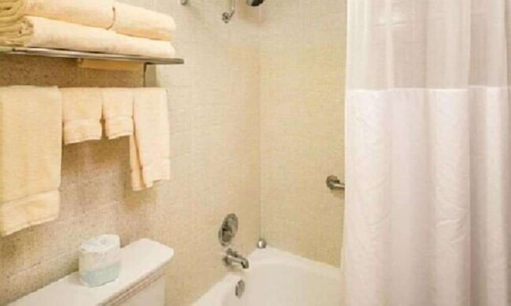 Studio, 1 King Bed, Accessible, Non Smoking - Photo 1