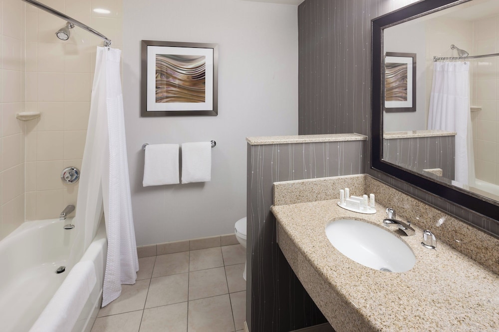 Room, 1 King Bed with Sofa bed (Mobility/Hearing Accessible, Tub) - Photo 6