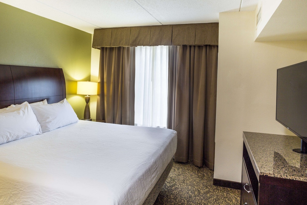 Suite, 1 King Bed with Sofa bed photo 1
