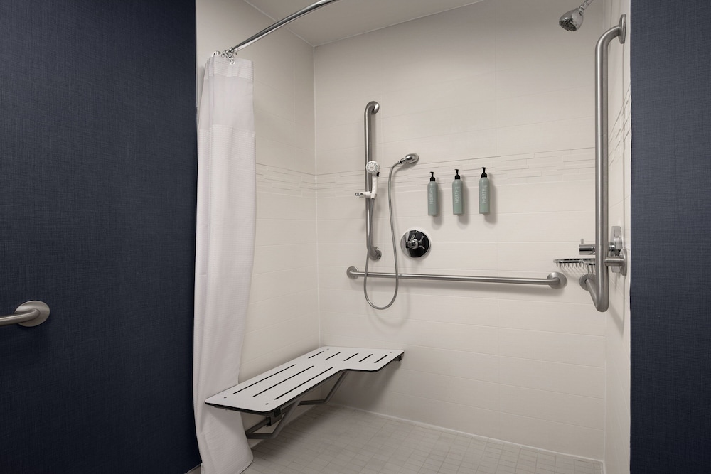Studio Suite, 1 King Bed with Sofa bed (Mobility/Hearing Access, Roll-in Shwr)