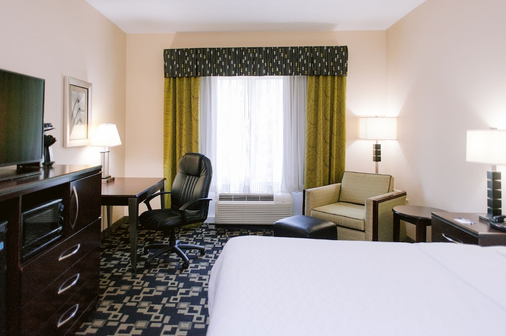 Standard Room, 1 King Bed, Accessible (Communications) - Photo 4
