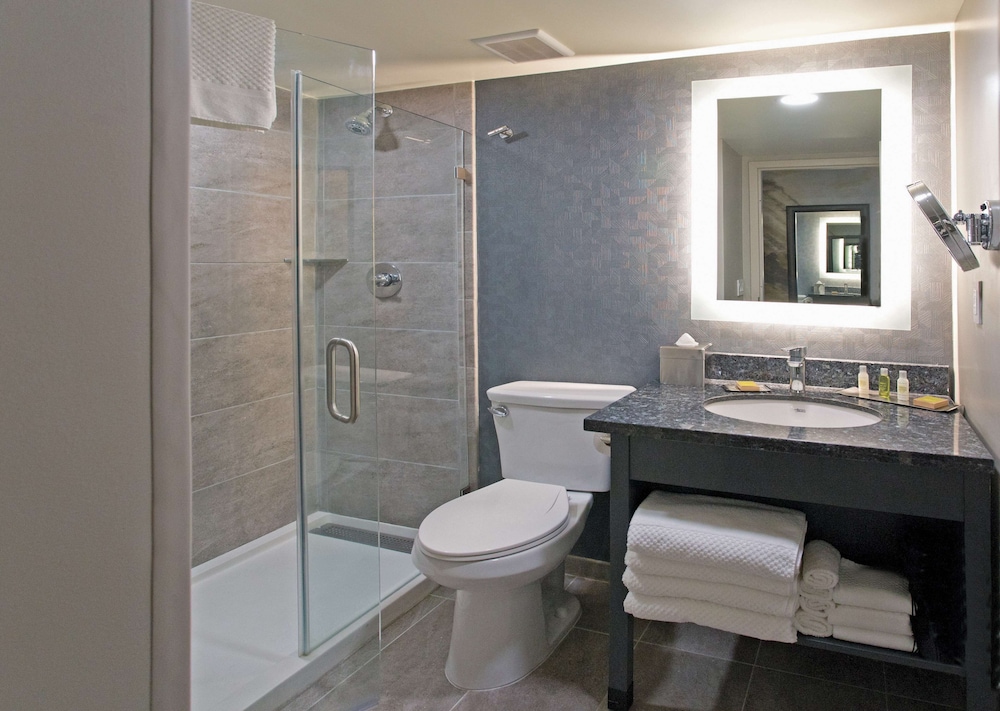 Suite, 1 Bedroom photo 3
