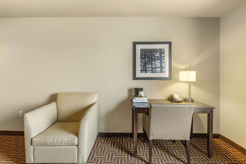 Basic Room, 1 King Bed